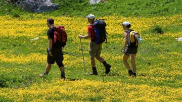 AMA LA VITA - Cammino di Fede per Adulti