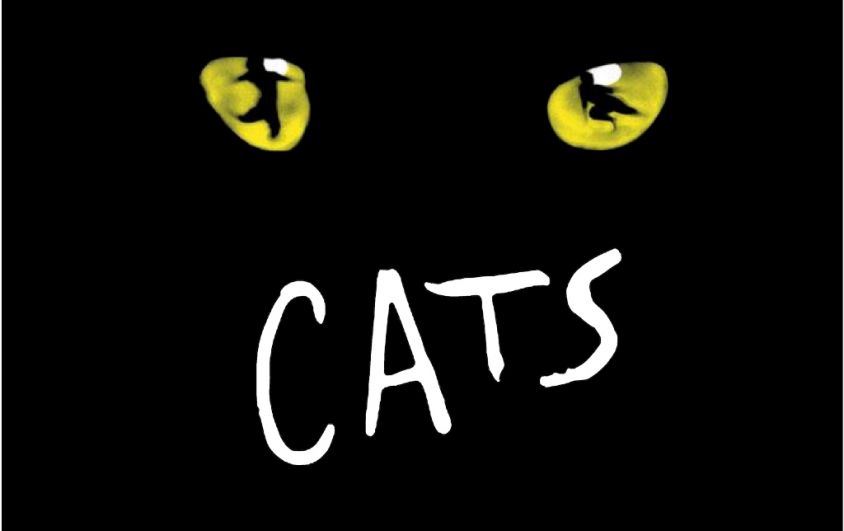 Musical CATS al Teatro Don Bosco