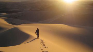 Quaresima: tra DESERTO e FUTURO