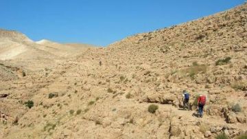 QUARESIMA: IN CAMMINO NEL DESERTO