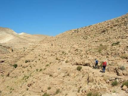 QUARESIMA: IN CAMMINO NEL DESERTO